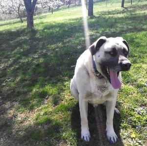 Meet your Posher, Gail